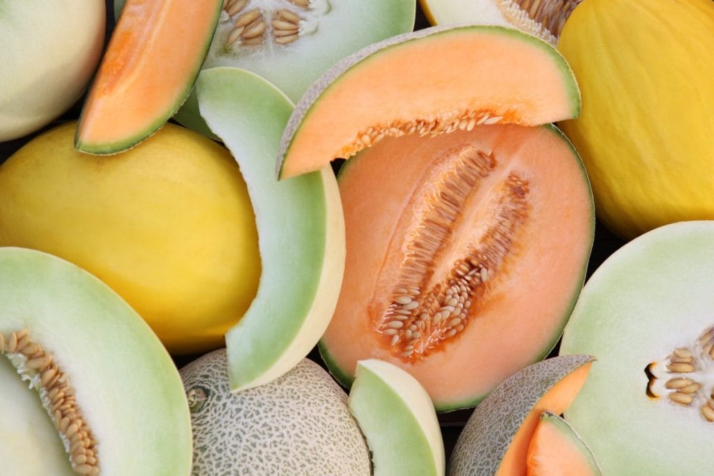 Jak smakuje melon Jakie ma właściwości i z czym go jeść