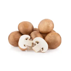 ZIELENIAK Pieczarki brunatne 250g