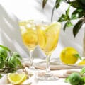 Pomysły na letnie drinki i sorbety z Limoncello Goccia Oro